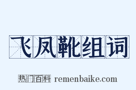 飞凤靴组词是什么意思的图片